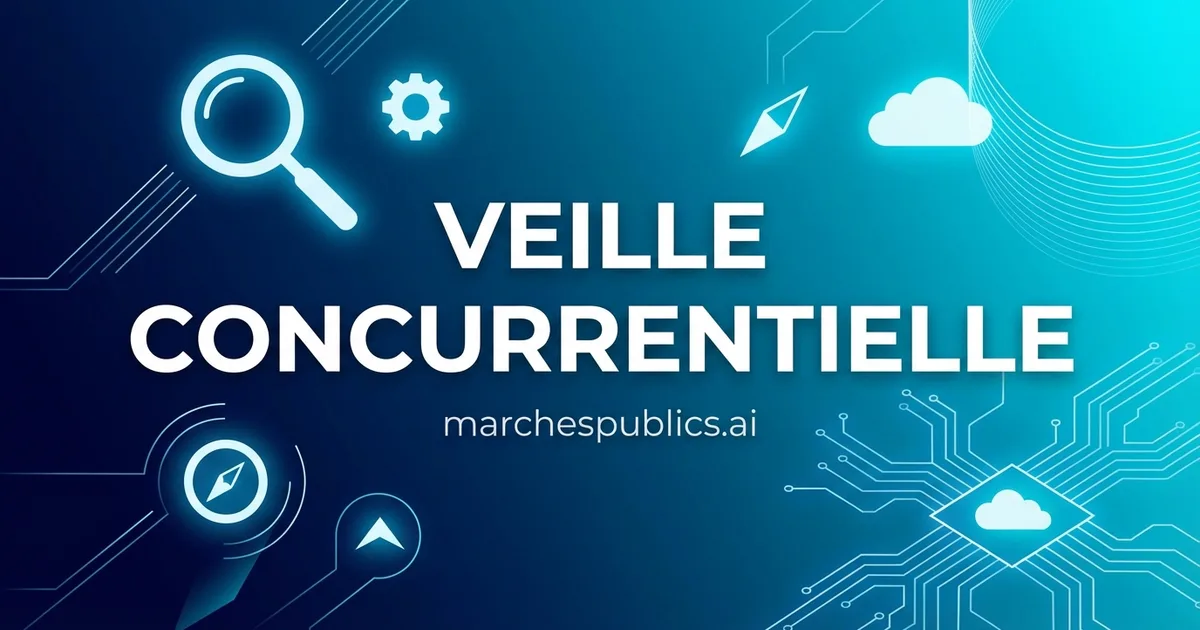 Veille concurrentielle dans les marches publics : methodes et outils